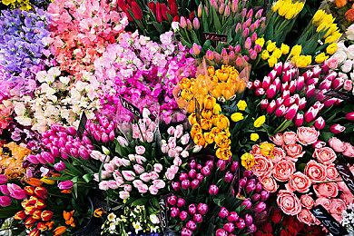 《战神：诸神黄昏》将有盔甲幻化系统 让奎爷更时尚